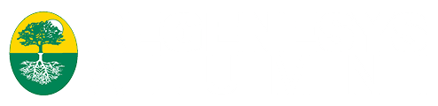 Regenesys Alumni Logo
