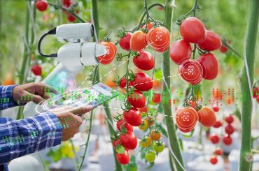 The Future of Agriculture in the Digital Age is Exciting and Promising