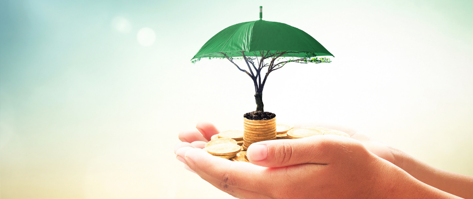 The power of disruptive education The power of disruptive education: a challenge for corporate social investment.