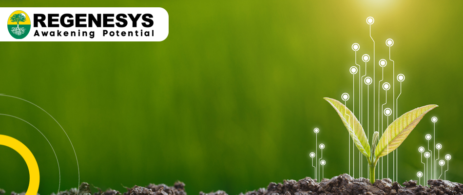 MBA Strategies For Growth