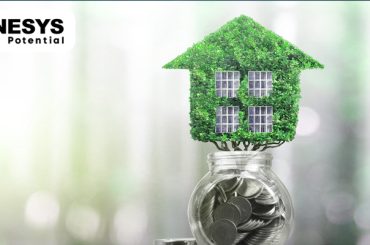 Sustainable Finance: Environmental Responsibility in Regenesys MBA