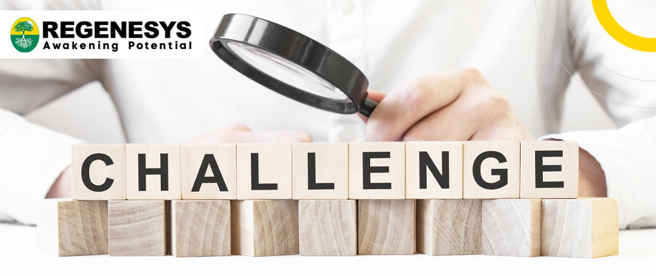 Regulatory Challenges in Finance: Regenesys MBA Perspective