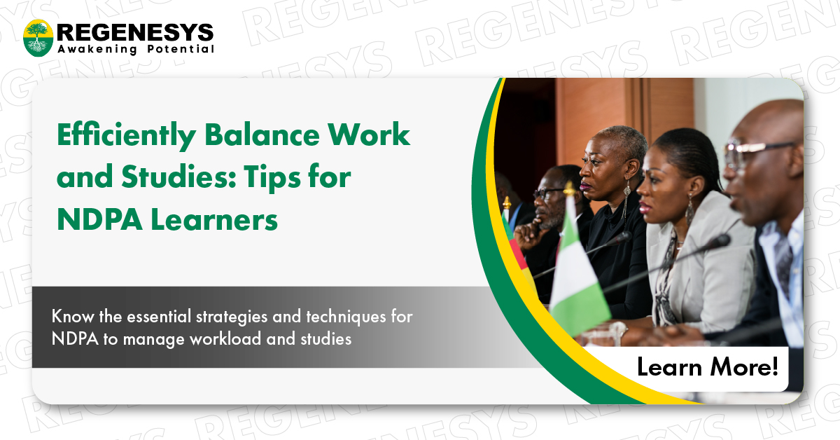 Efficiently Balance Work and Studies: Tips for NDPA Learners