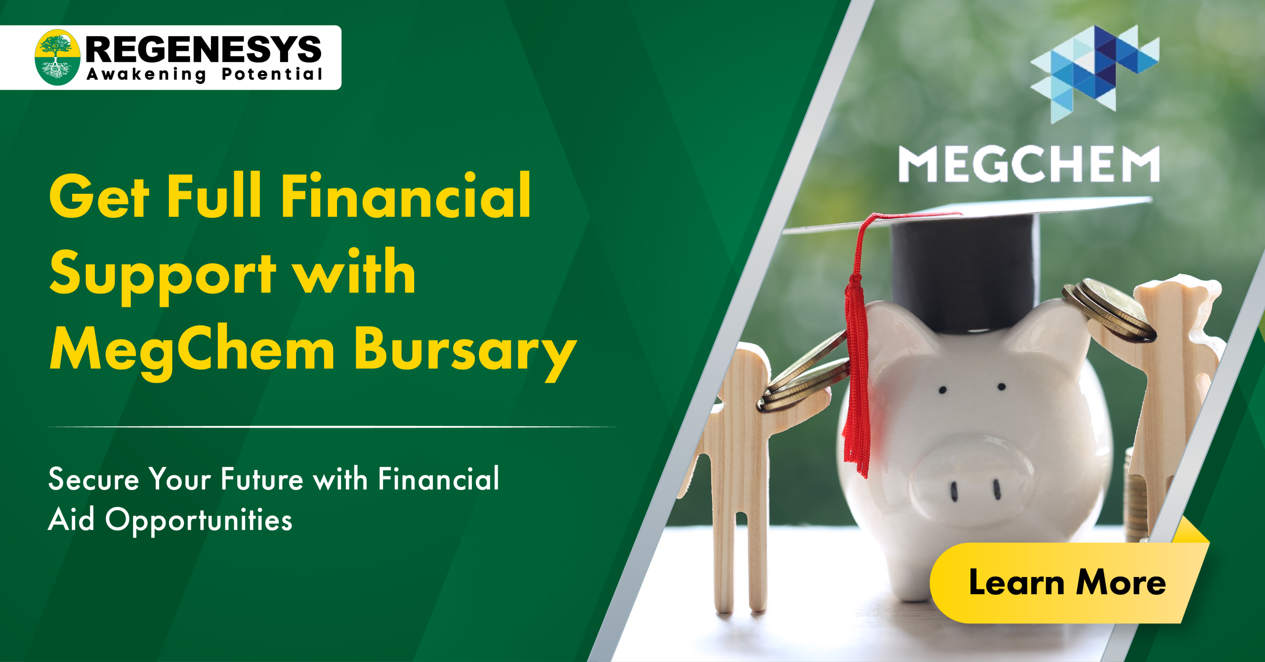 megchem bursary 2024

