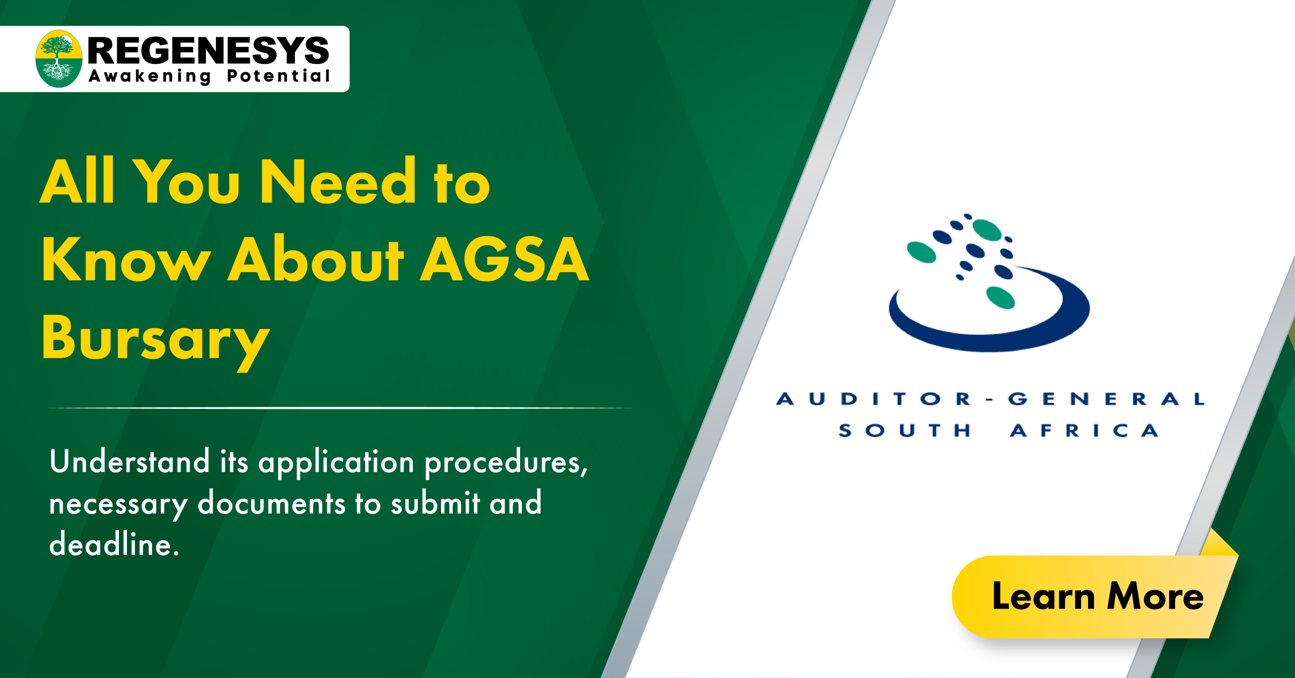 Auditor-General of South Africa (AGSA) Bursary Requirements

