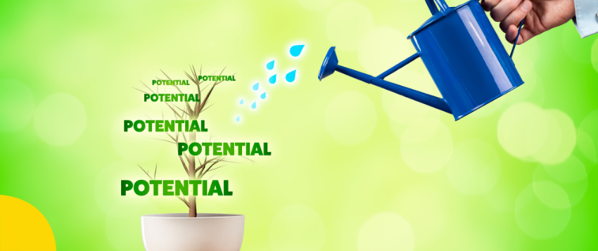 leadership and failure