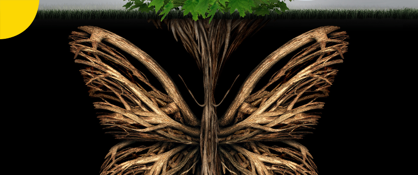 Bamboo Tree and Leadership