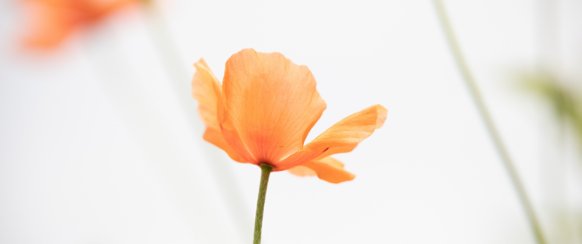 Embrace the Shift and Grow into Your Role