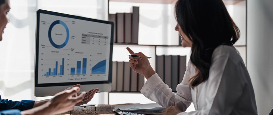 What is a Project Officer?