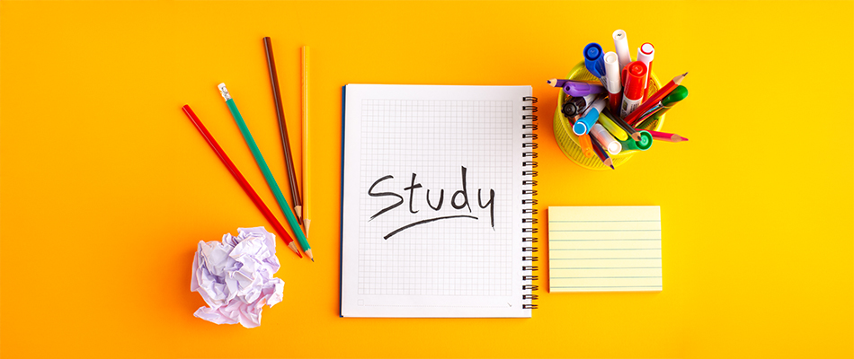 Where to Study Project Management in South Africa