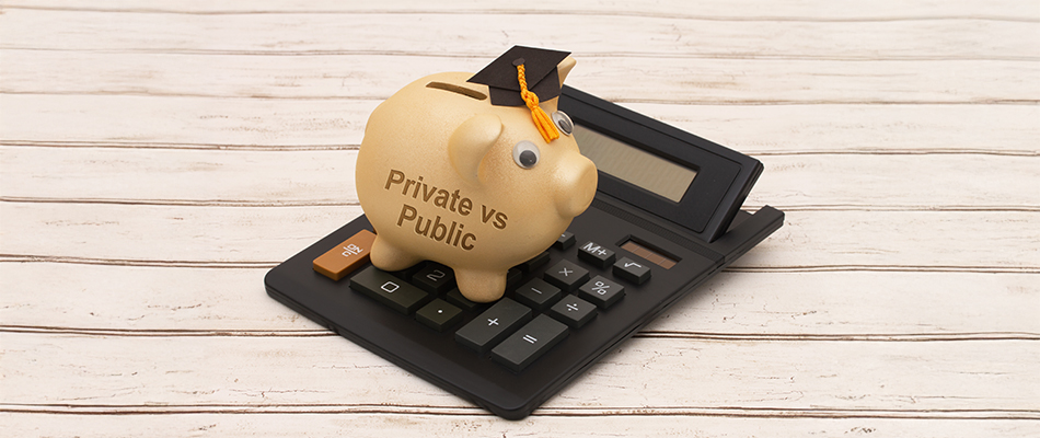Comparing Private vs Public Universities in South Africa: Costs, Quality, and Opportunities Private universities in south africa