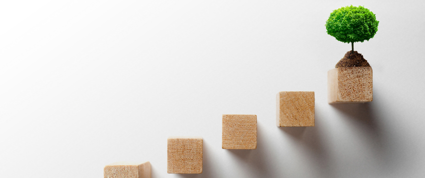Growth vs sustainable scaling