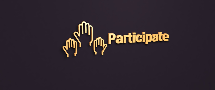 Transparency, Participation, and Accountability
